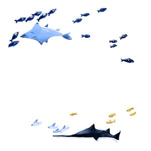 卡通手绘海洋游动鱼群免扣元素