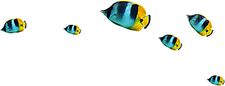 卡通手绘海洋游动鱼群免扣元素