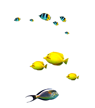 卡通手绘海洋游动鱼群免扣元素