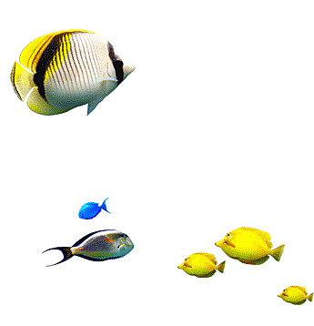 卡通手绘海洋游动鱼群免扣元素
