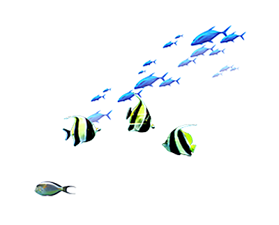 卡通手绘海洋游动鱼群免扣元素