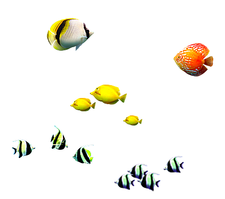 卡通手绘海洋游动鱼群免扣元素