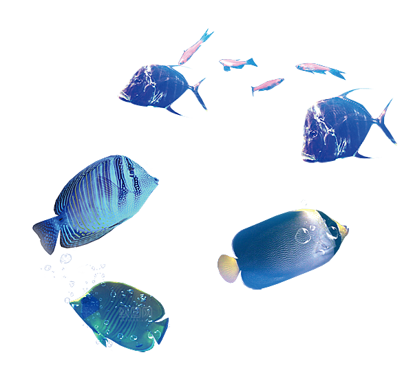 卡通手绘海洋游动鱼群免扣元素