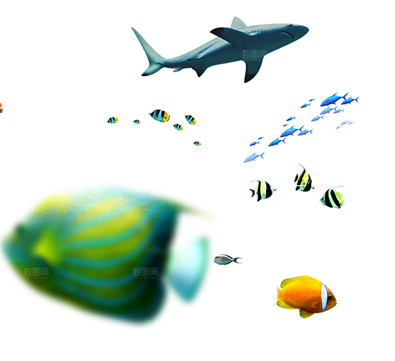 卡通手绘海洋游动鱼群免扣元素