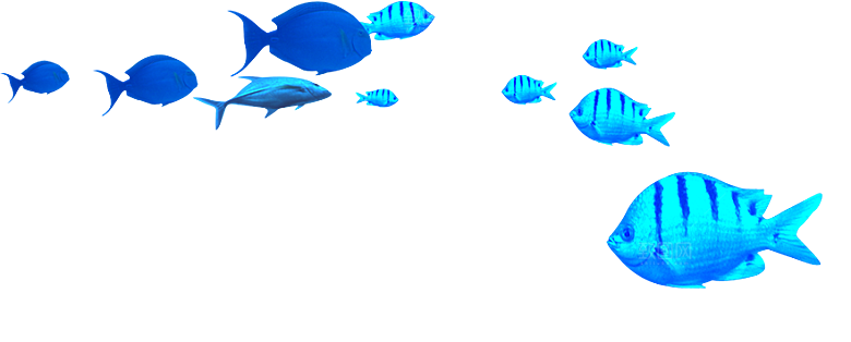 卡通手绘海洋游动鱼群免扣元素