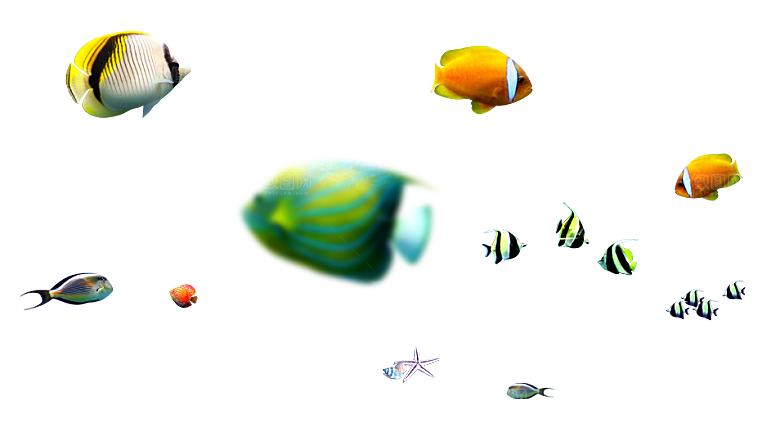 卡通手绘海洋游动鱼群免扣元素