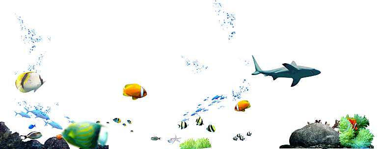 卡通手绘海洋游动鱼群免扣元素