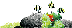 卡通手绘海洋游动鱼群免扣元素