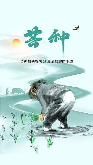 芒种节气传统海报