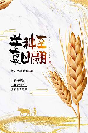 芒种节气传统海报
