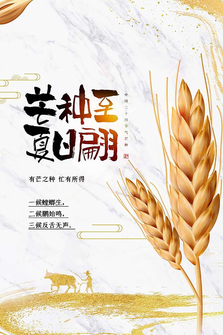 芒种节气传统海报