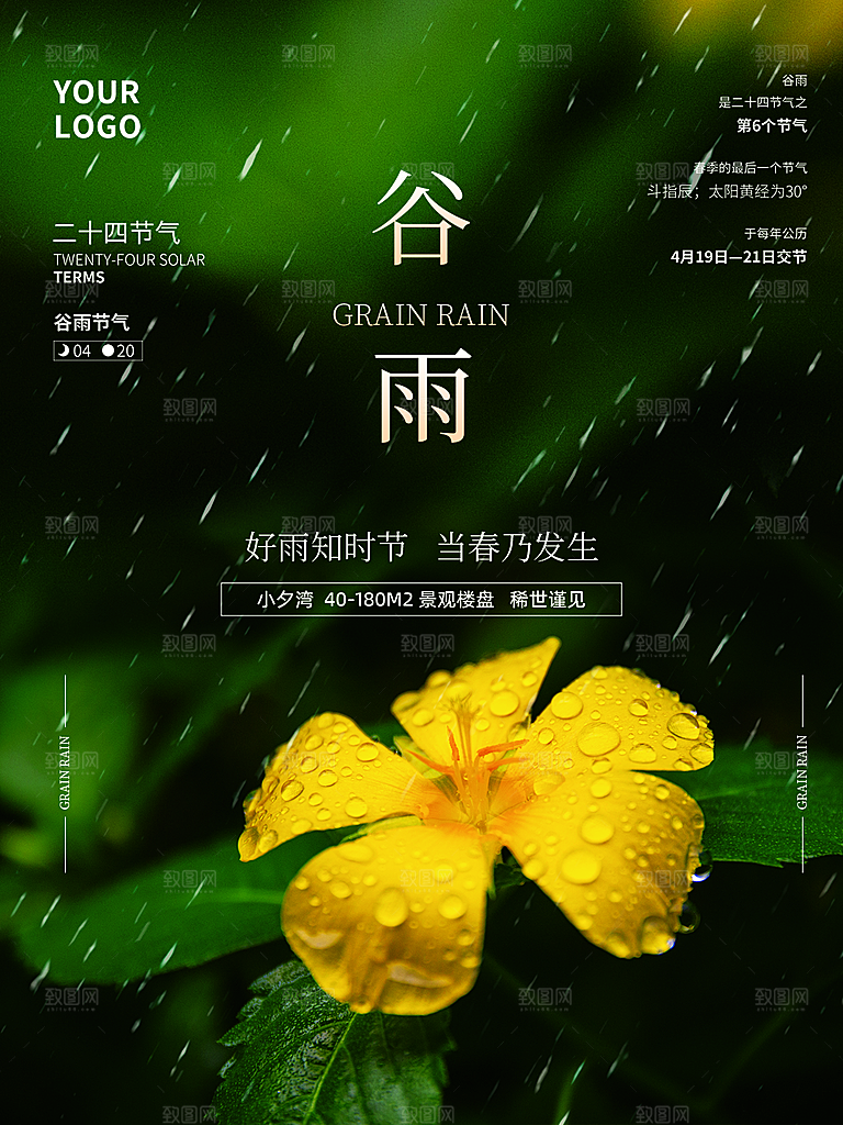 谷雨节气简约大气海报