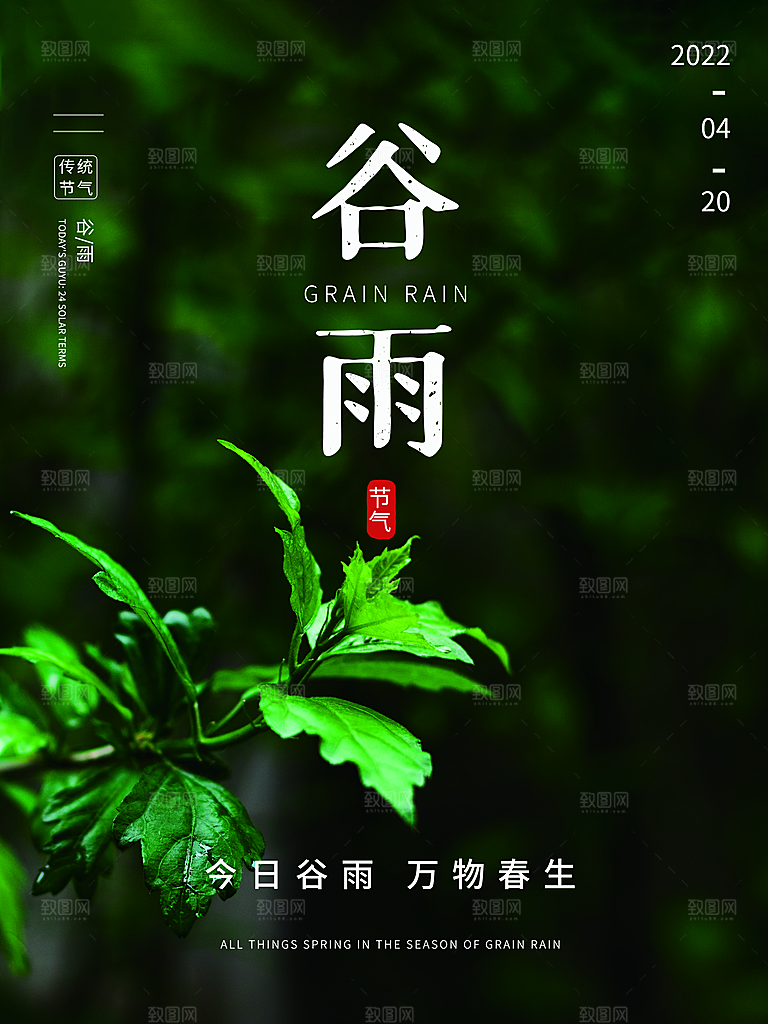 谷雨节气简约大气海报