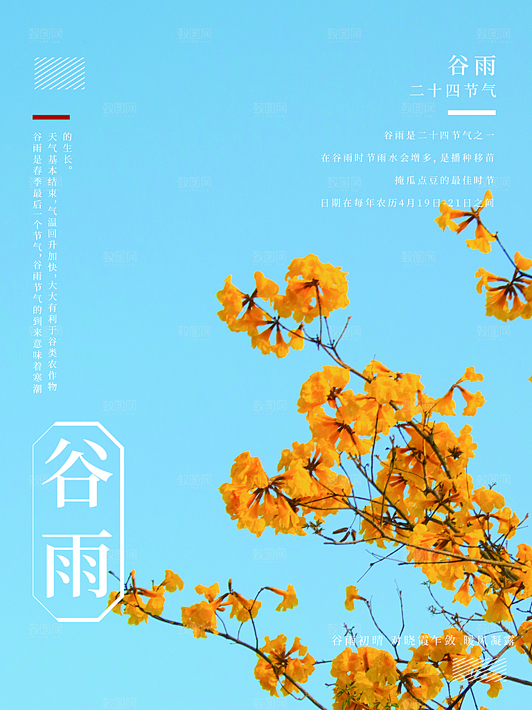 传统节气谷雨海报模版