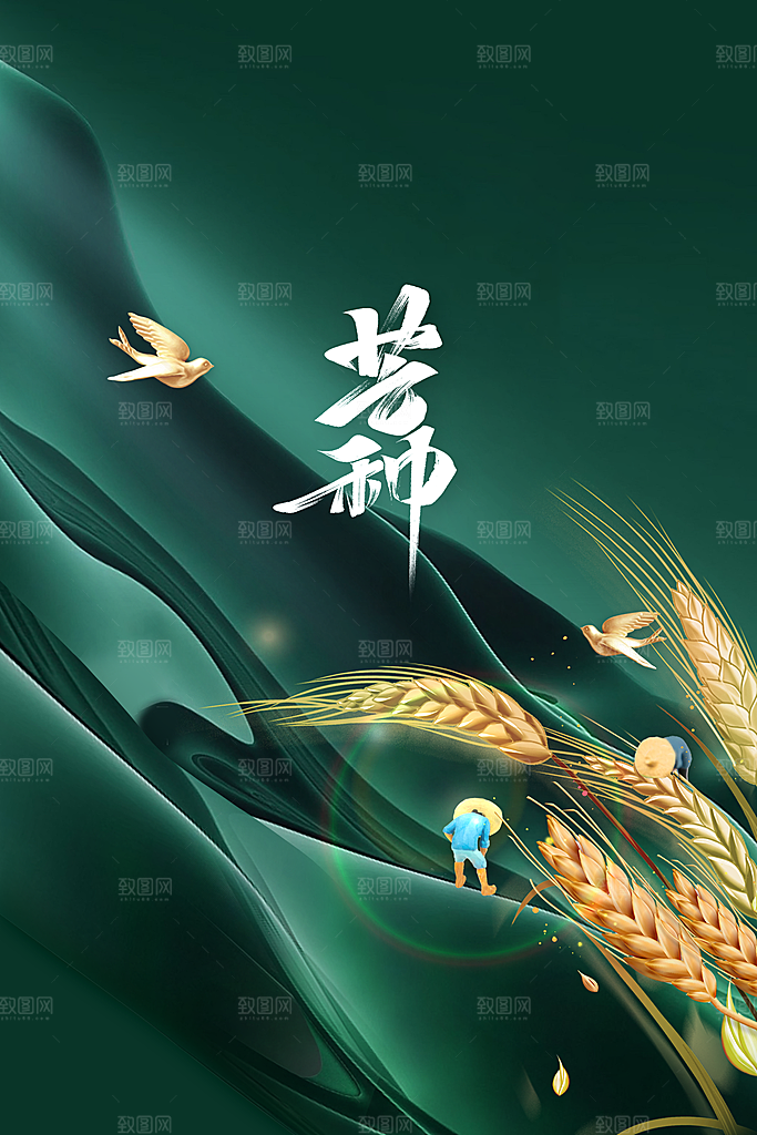 芒种节气传统活动宣传海报