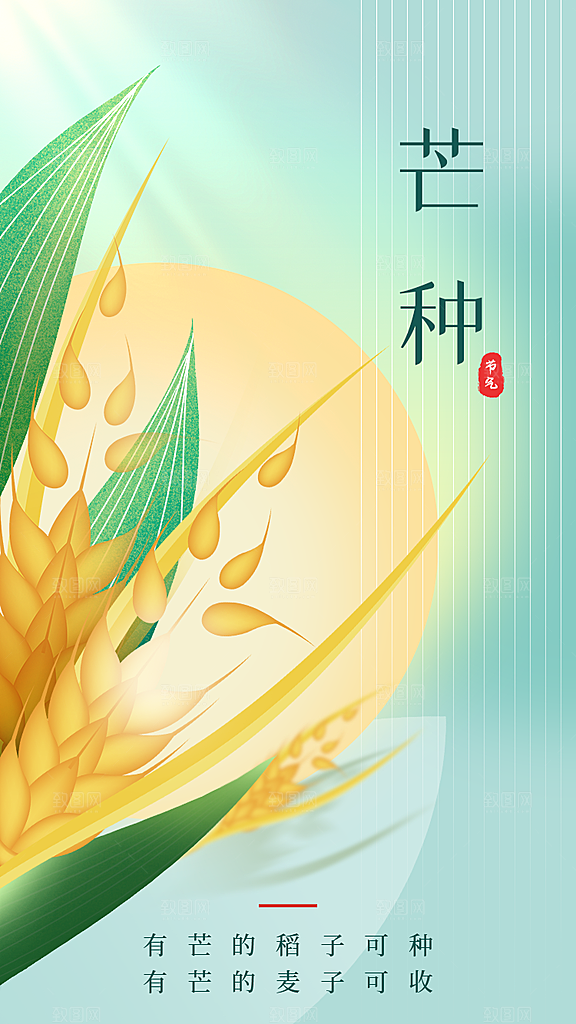 芒种节气传统活动宣传海报