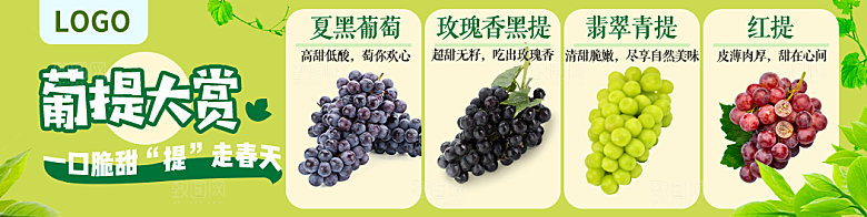 葡萄banner提子科普鉴赏