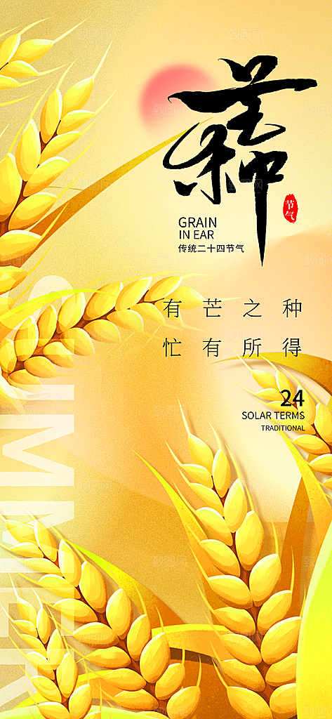芒种海报二十四节气