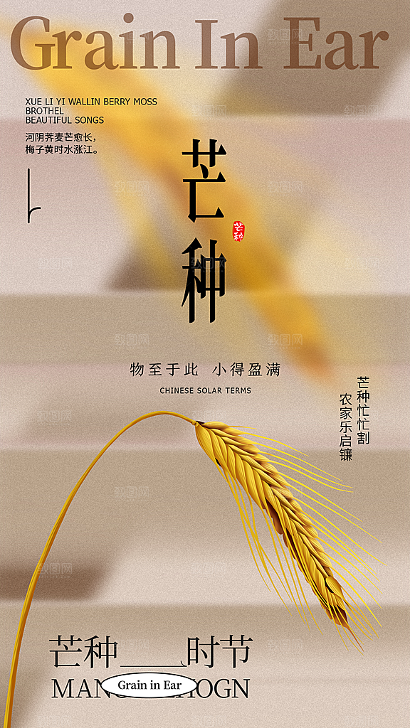 芒种海报二十四节气