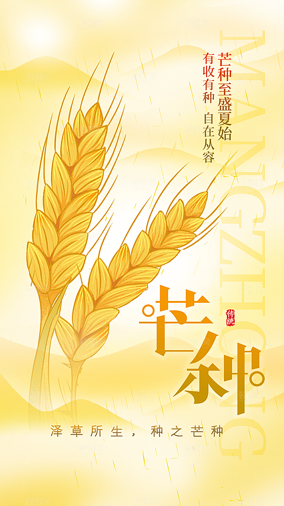 芒种海报芒种广告