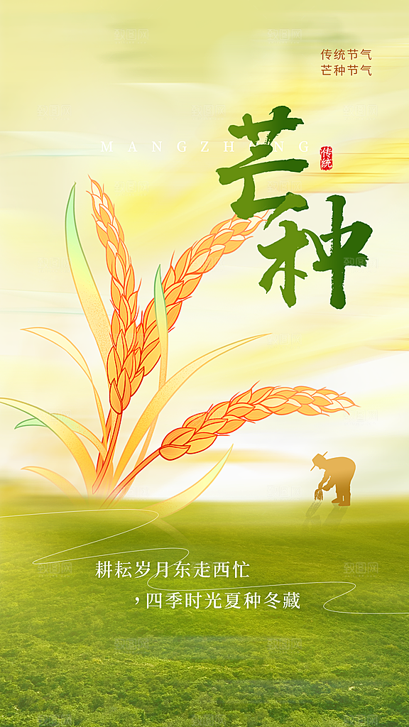 芒种海报芒种广告