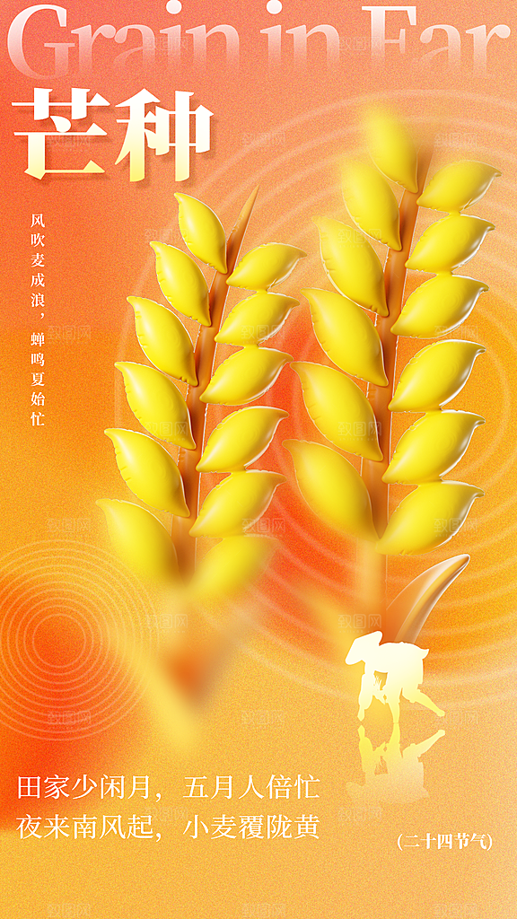 芒种海报芒种广告