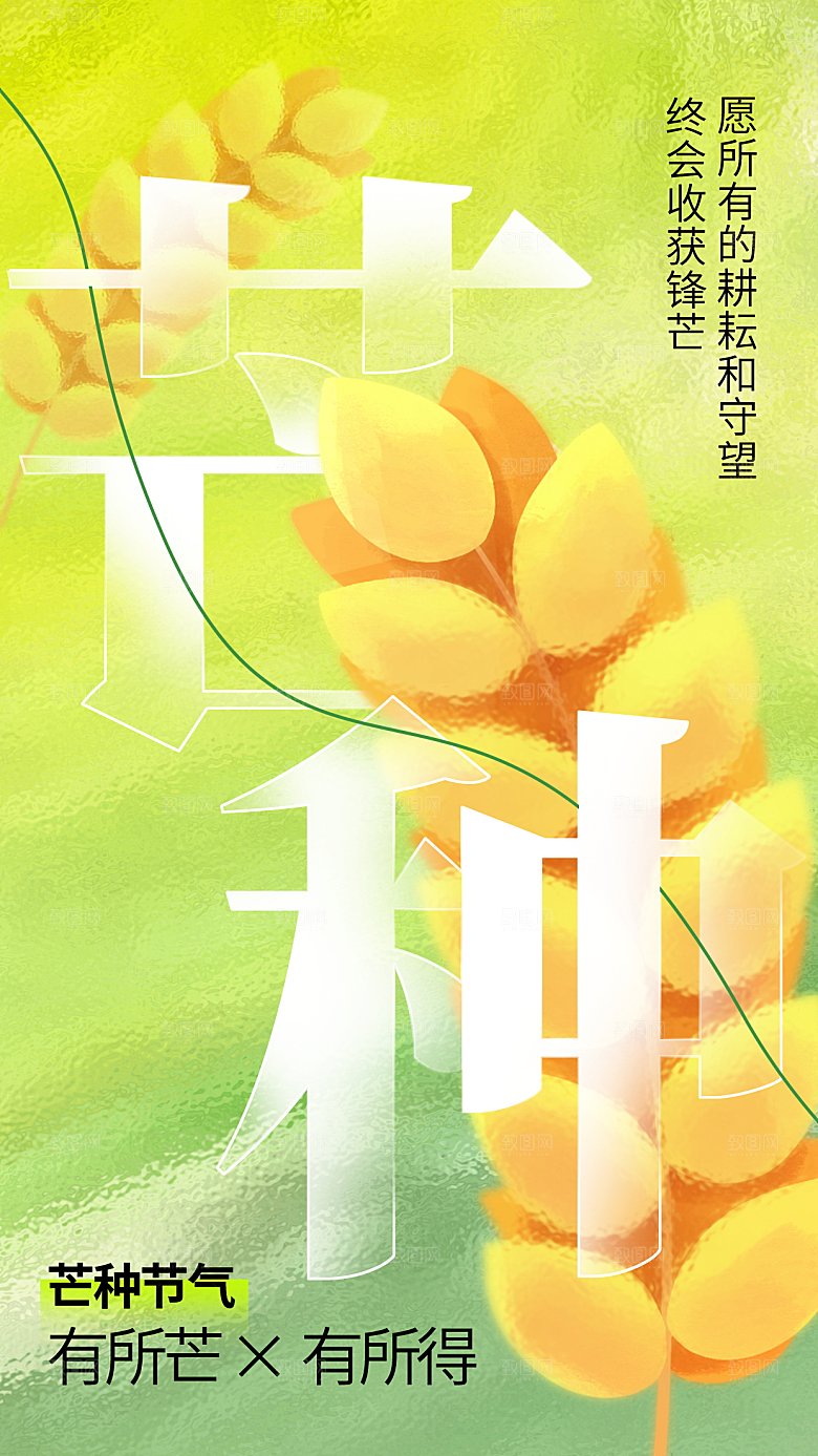 芒种海报芒种广告