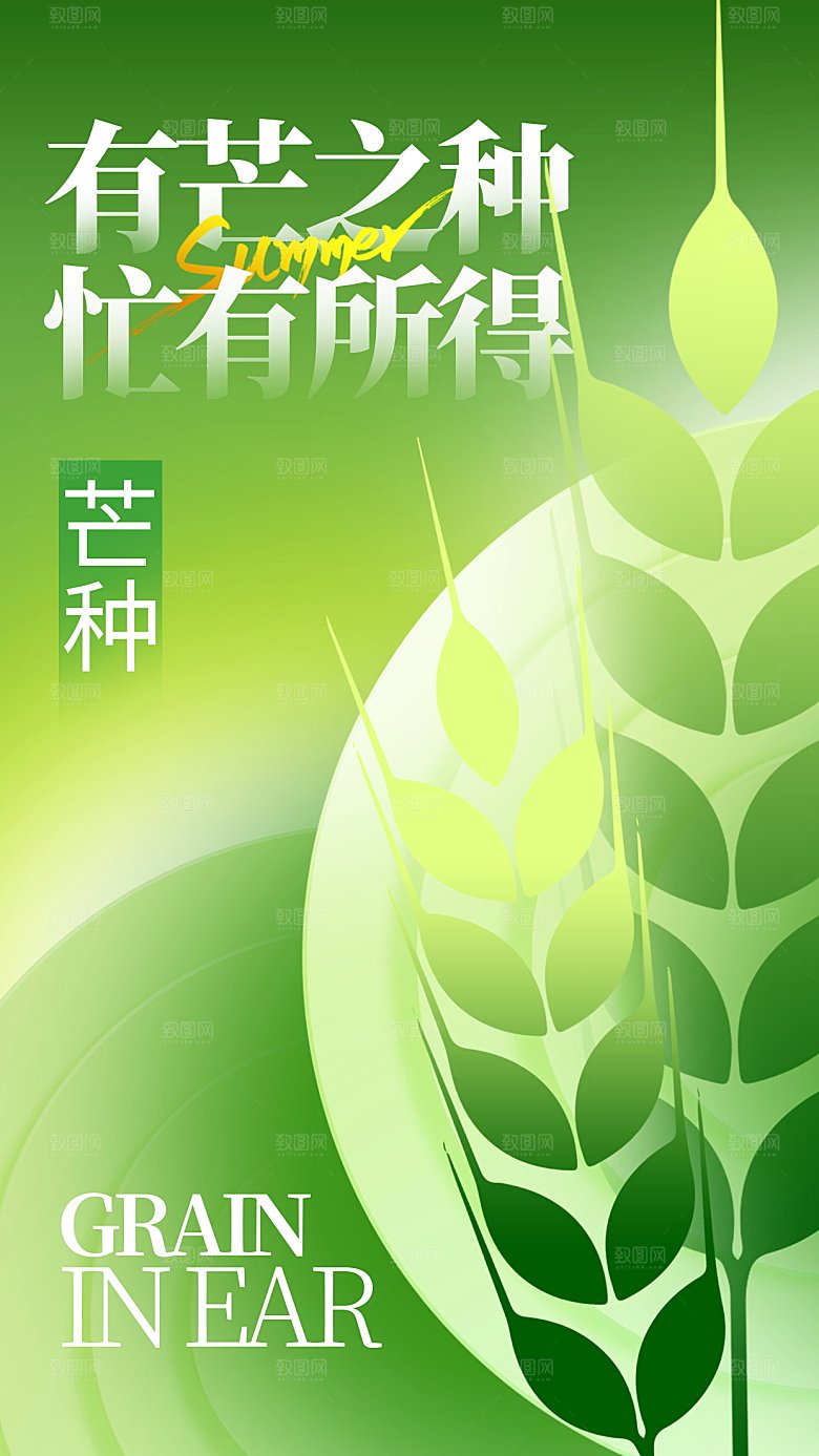 芒种海报芒种广告