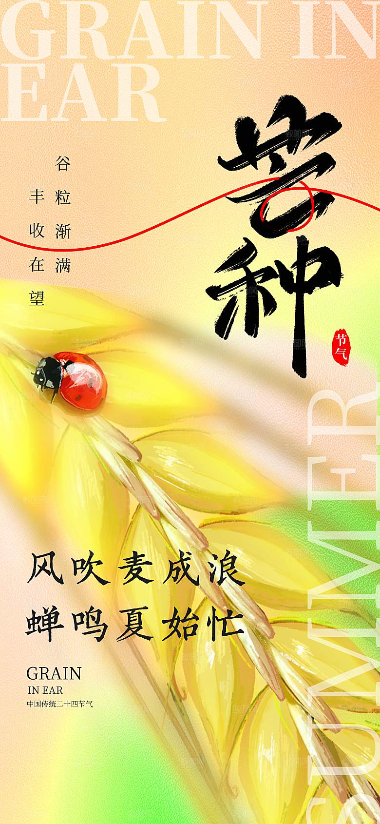 芒种海报二十四节气