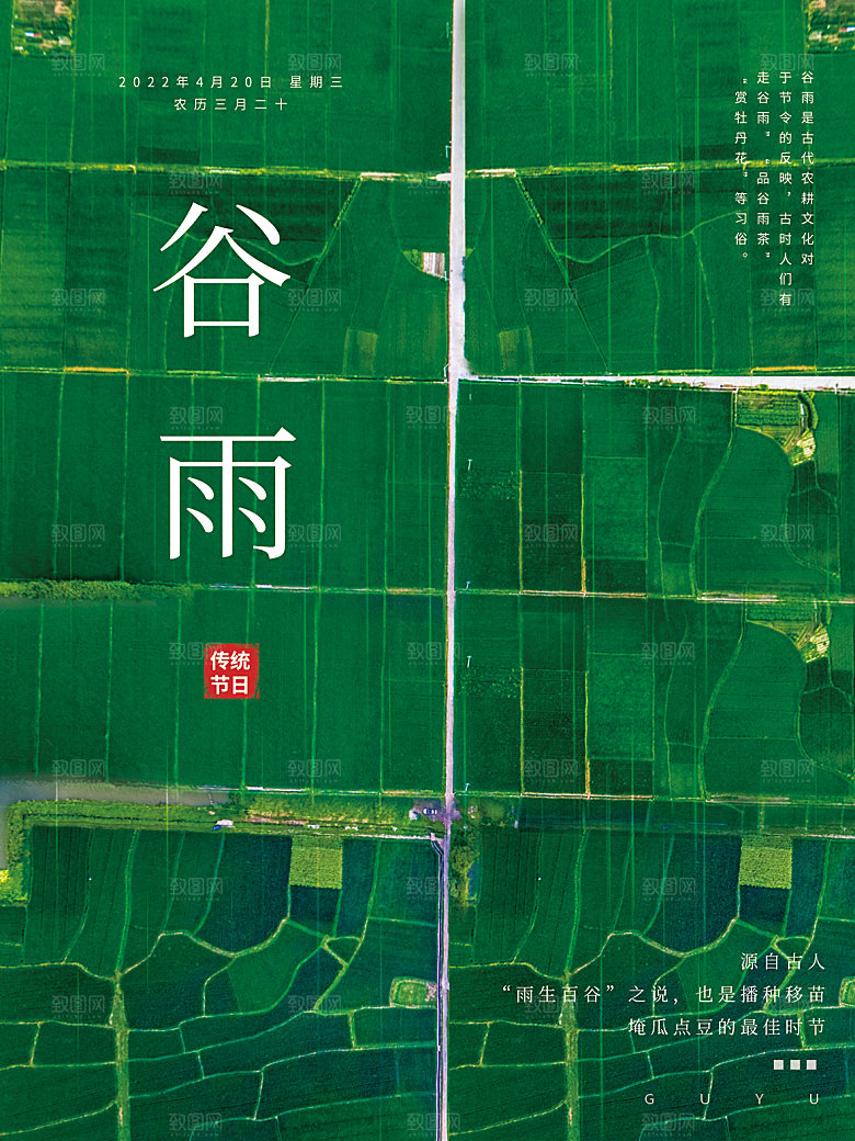 谷雨节气简约大气海报