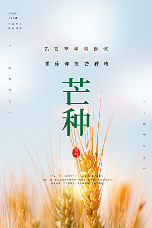 芒种节气简约大气海报