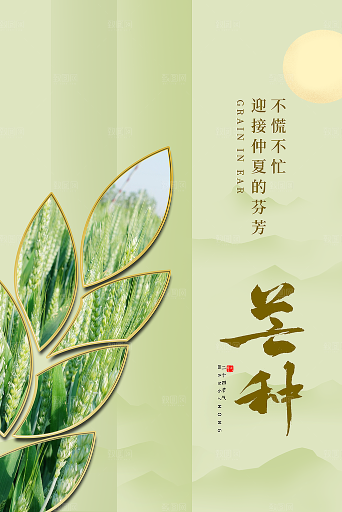 芒种节气简约大气海报