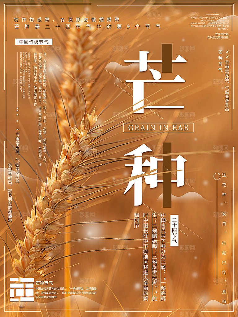 芒种节气简约大气海报