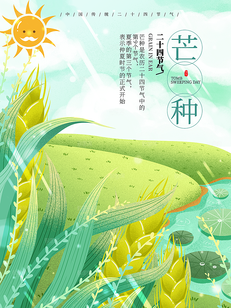 芒种节气简约大气海报