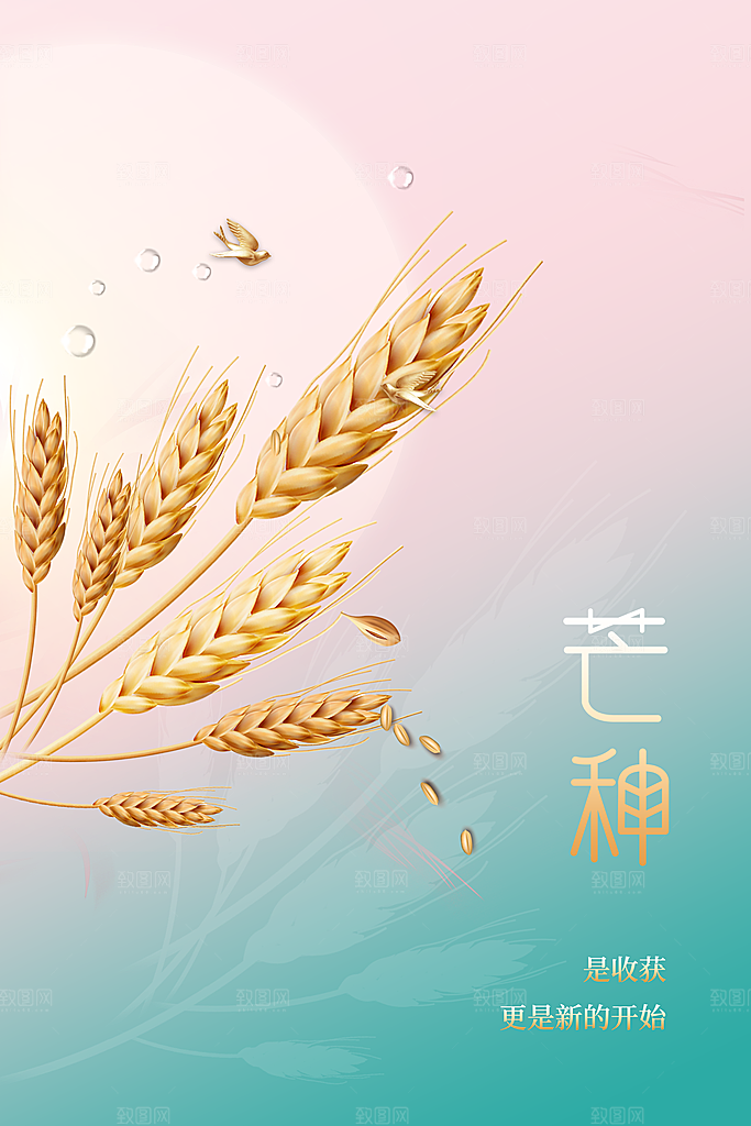 芒种节气传统活动宣传海报
