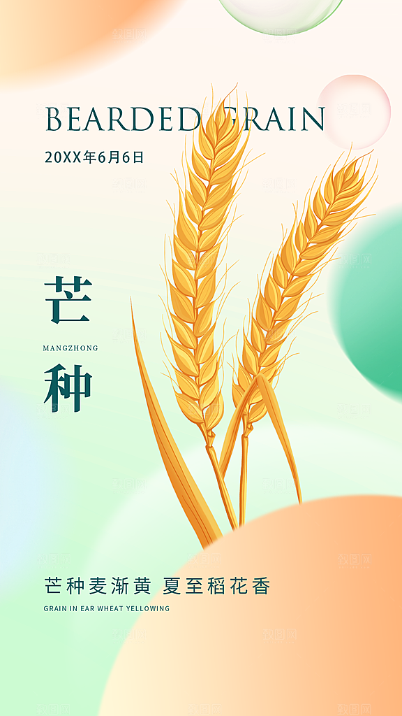 传统节气芒种海报模板