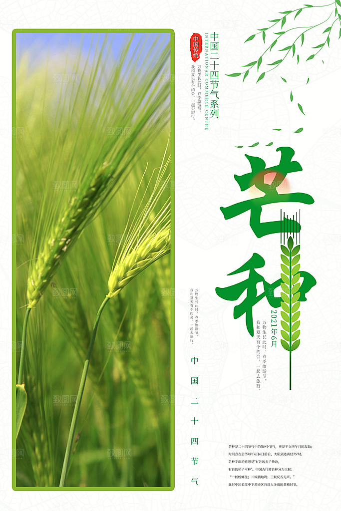 传统节气芒种海报模板