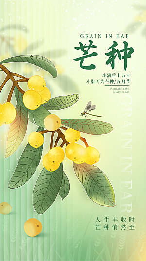 传统节气芒种海报模板