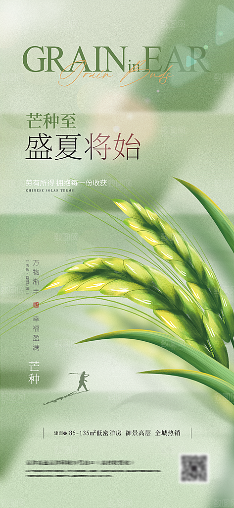 芒种节气简约大气海报