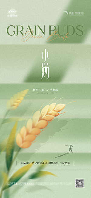 芒种节气简约大气海报