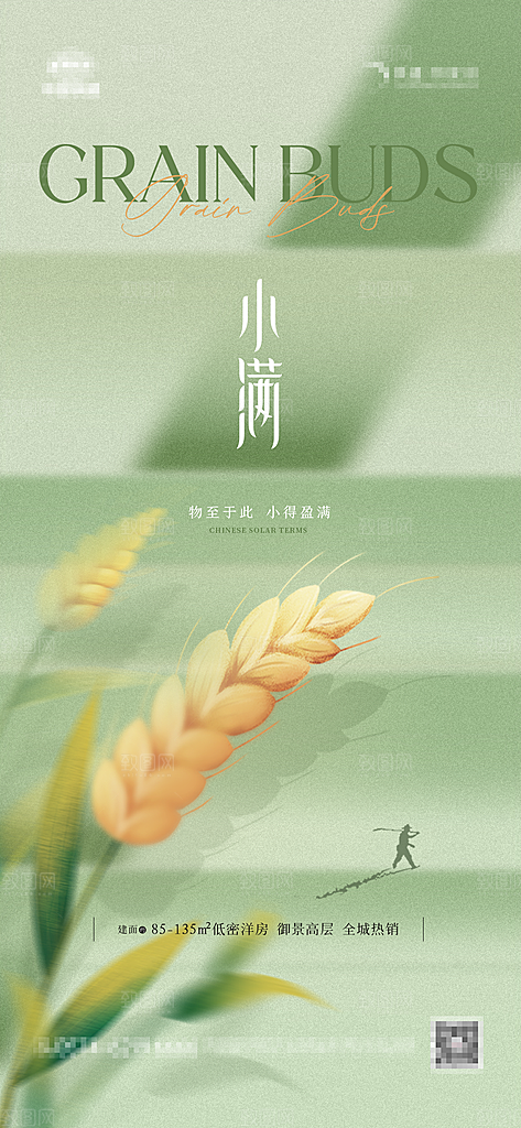 芒种节气简约大气海报