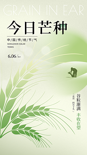 芒种节气简约大气海报