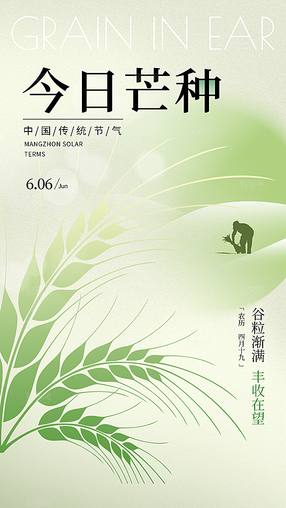 芒种节气简约大气海报