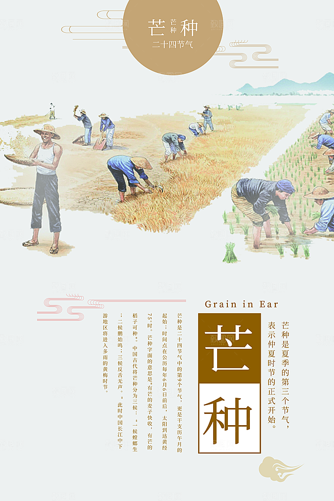 芒种节气简约大气海报