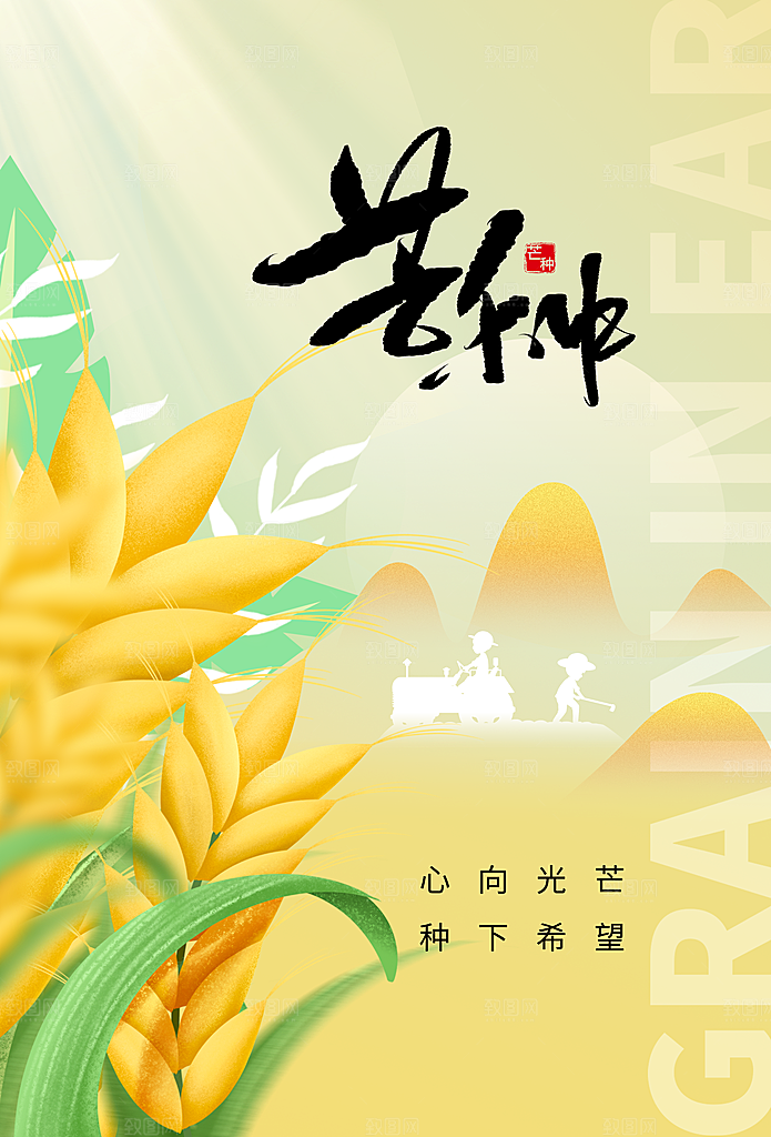 芒种海报芒种广告