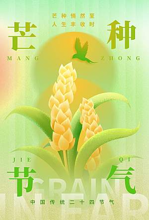 芒种海报芒种广告