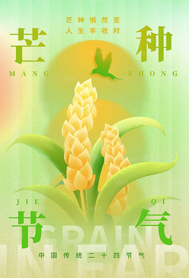 芒种海报芒种广告