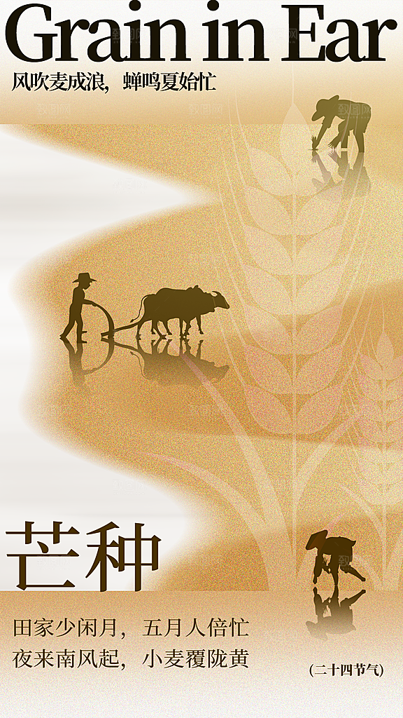 芒种海报芒种广告