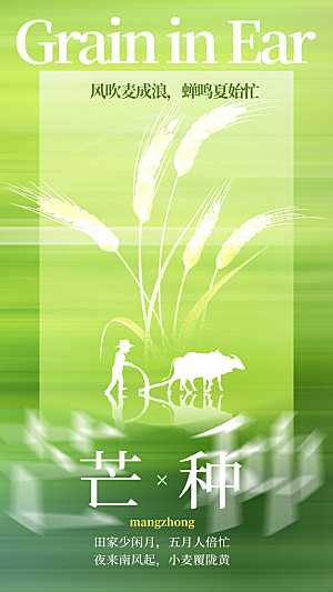 芒种海报芒种广告