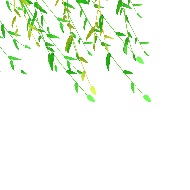卡通可爱端午粽子龙舟竹叶插画元素